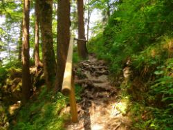 2013-07-20_Regina-F-Rau_Kochel-Rabenkopf (164).JPG